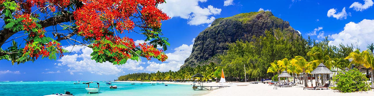 Magical Mauritius